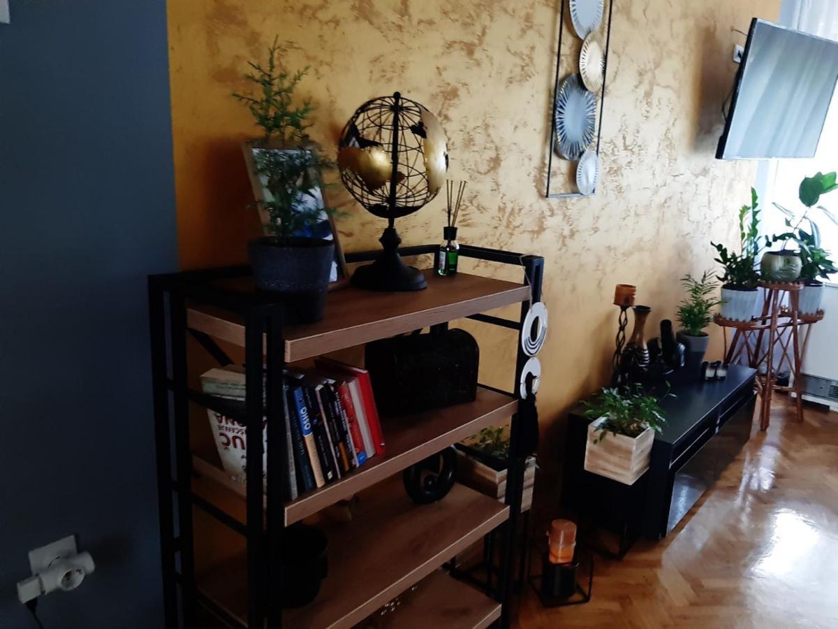 Aparmani Djuric Apartment Subotica Ngoại thất bức ảnh