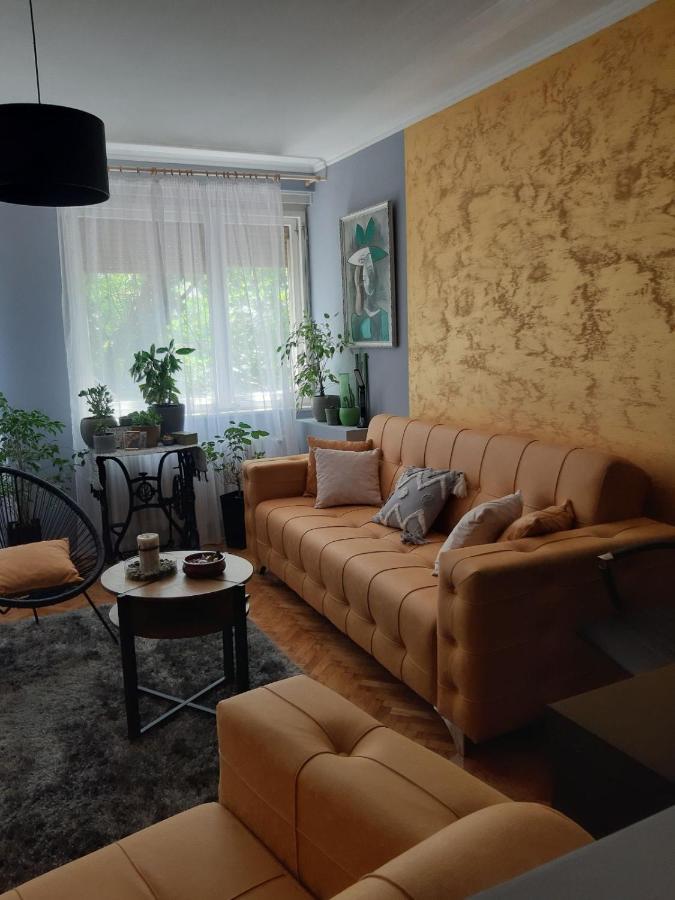 Aparmani Djuric Apartment Subotica Ngoại thất bức ảnh